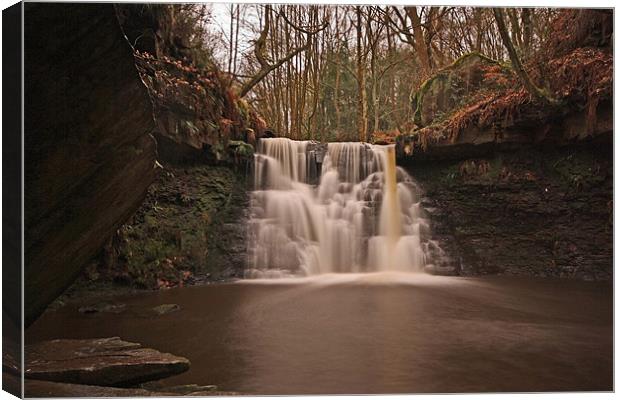 Goitstock Falls, Cullingworth Canvas Print by Sandi-Cockayne ADPS