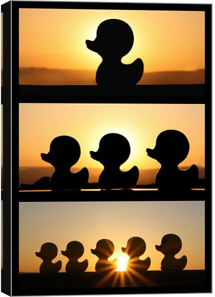 Duck Fun In The Sun! - Triptych Canvas Print by Sandi-Cockayne ADPS