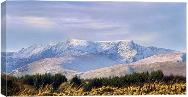 Snow Topped Mountains Canvas Print by Sandi-Cockayne ADPS