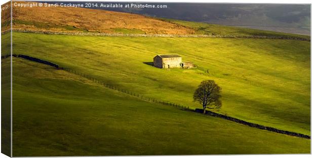 Dalescape - The Bloody Vale, Swaledale Canvas Print by Sandi-Cockayne ADPS