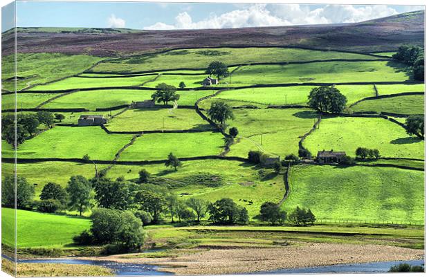Patchwork In The Dales Canvas Print by Sandi-Cockayne ADPS