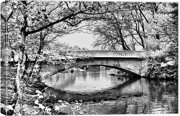 Stanley Park Bridge ~ Infra Red ~ Canvas Print by Sandi-Cockayne ADPS