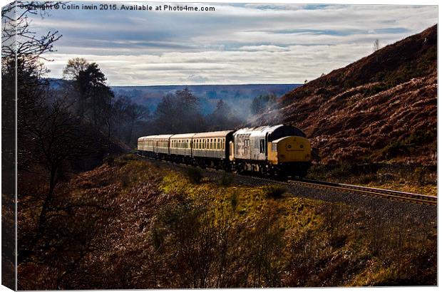 37264 Canvas Print by Colin irwin