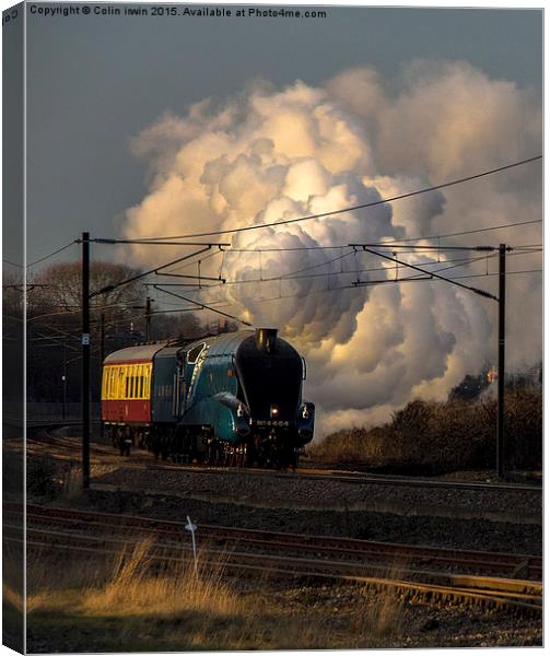 60019 Canvas Print by Colin irwin