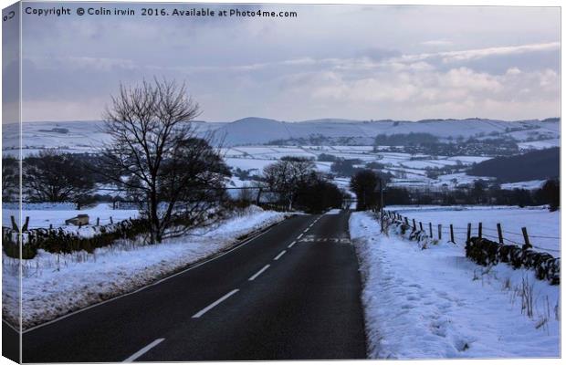 Wickenlow Lane Canvas Print by Colin irwin