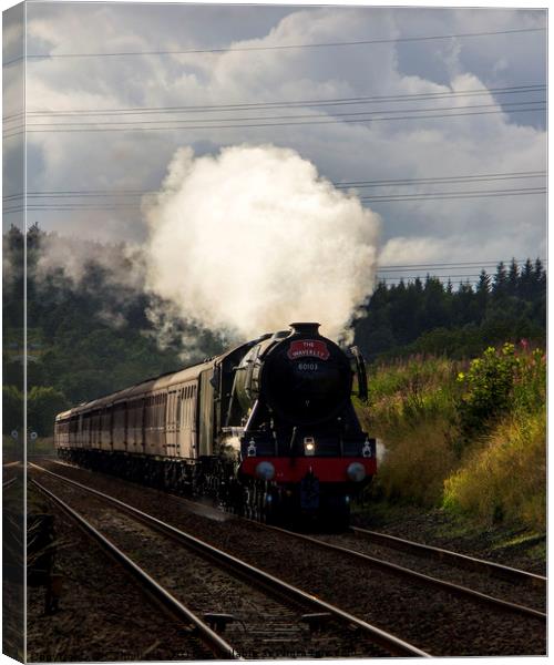 60103  Canvas Print by Colin irwin