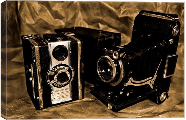 Old Cameras 2 Canvas Print by Samantha Higgs