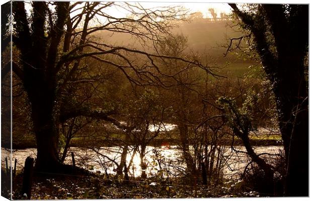 Rainy Day on the Camel Trail Canvas Print by Samantha Higgs