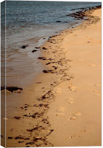 Tide Lines Canvas Print by Samantha Higgs