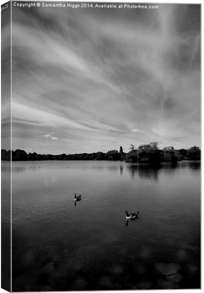 Thatcham Lakes in Black and White Canvas Print by Samantha Higgs