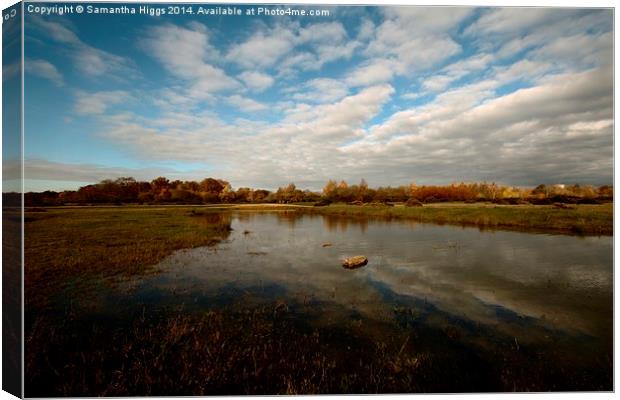  Greenham Common - Autumn Canvas Print by Samantha Higgs