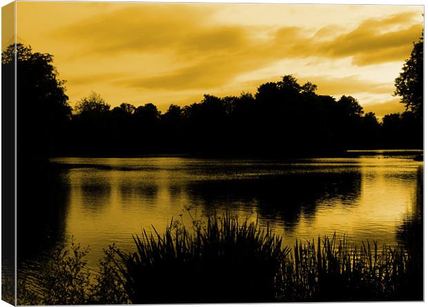 Reflections in Orange Canvas Print by Samantha Higgs