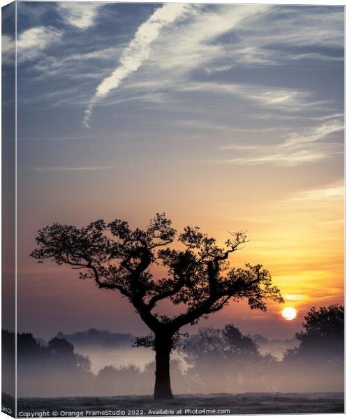 Tree Silhouette Sunrise Canvas Print by Orange FrameStudio