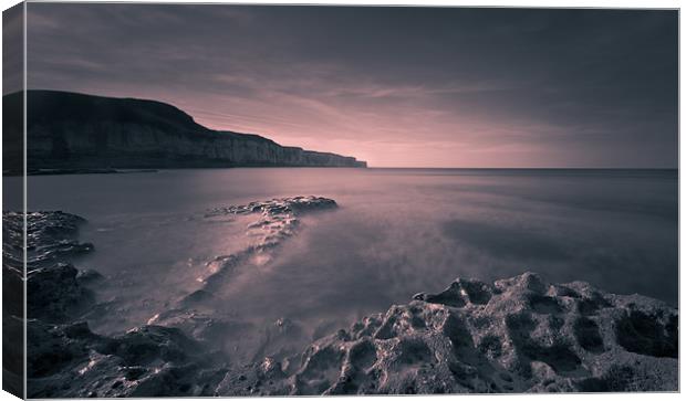 Bempton Cliffs Canvas Print by Orange FrameStudio