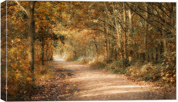 Just another Path Canvas Print by Orange FrameStudio