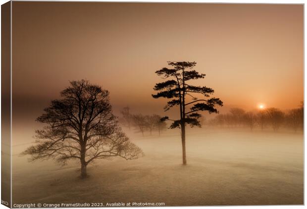 Sunrise on misty morning trees Canvas Print by Orange FrameStudio