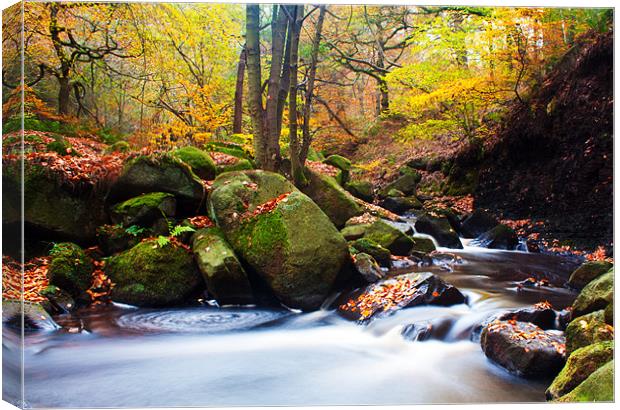 autumn arrives Canvas Print by stephen mc nally