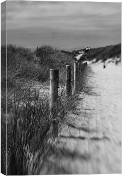 To the beach Canvas Print by stephen mc nally