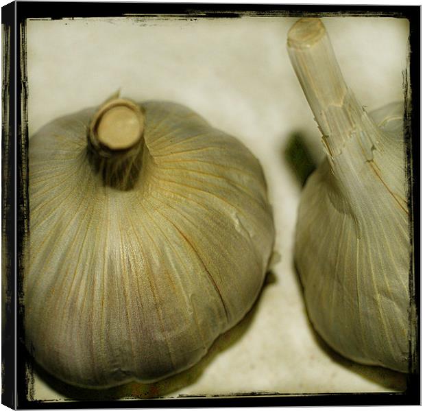 Cloves Of Garlic. Canvas Print by Rosanna Zavanaiu