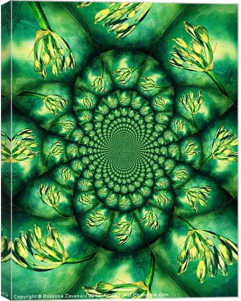Floral Kaleidoscope. Canvas Print by Rosanna Zavanaiu