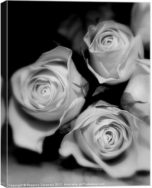 Black & white Rose Bunches. Canvas Print by Rosanna Zavanaiu