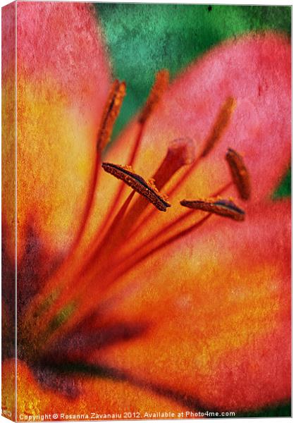 Lillies By Nature. Canvas Print by Rosanna Zavanaiu