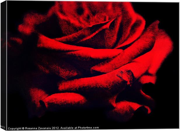Red Rose. Canvas Print by Rosanna Zavanaiu