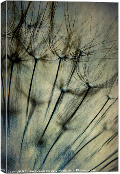 Dandelion Artsy. Canvas Print by Rosanna Zavanaiu