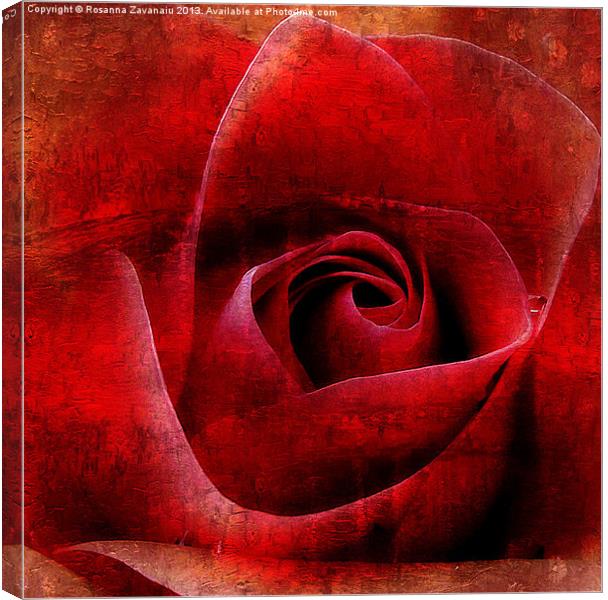 Red Rose Paintings Canvas Print by Rosanna Zavanaiu