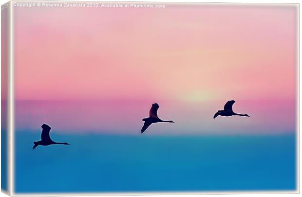 Three Geese Sillouettes Canvas Print by Rosanna Zavanaiu