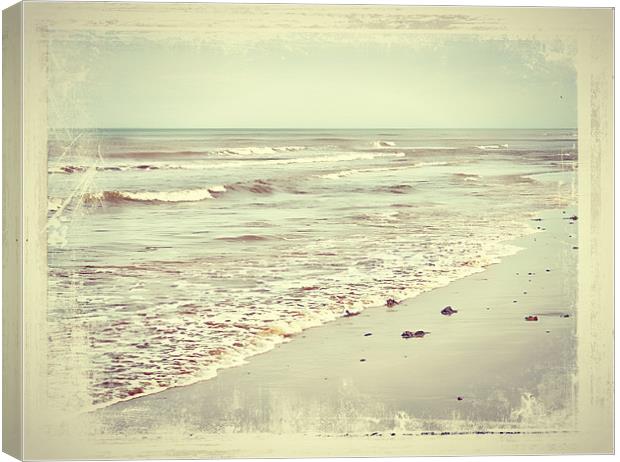 Seascape Cromer Canvas Print by Rosanna Zavanaiu