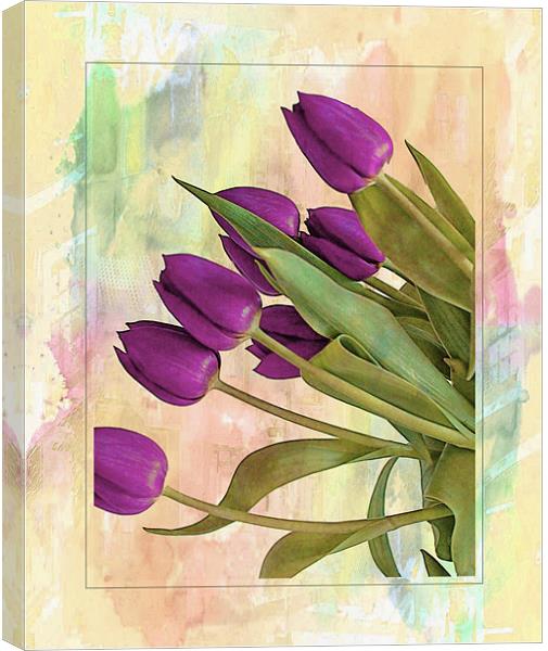 Painterly Tulips Canvas Print by Rosanna Zavanaiu