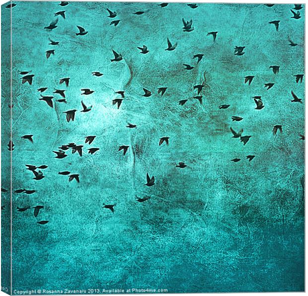 As Free As.2 Canvas Print by Rosanna Zavanaiu