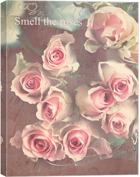  Smell The Roses .. Canvas Print by Rosanna Zavanaiu