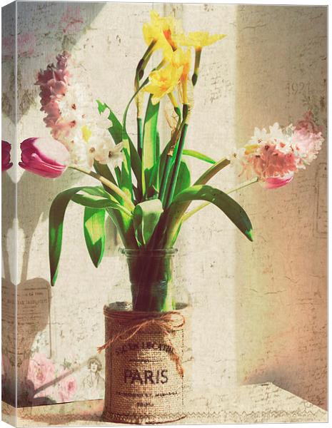  Spring Has Sprung.. Canvas Print by Rosanna Zavanaiu