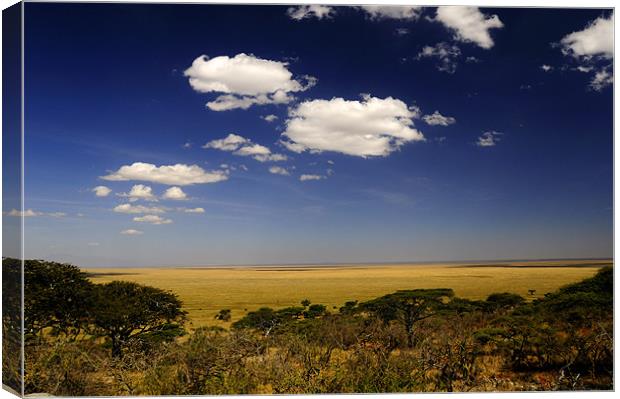 Serengeti's View Canvas Print by Massimiliano Acquisti