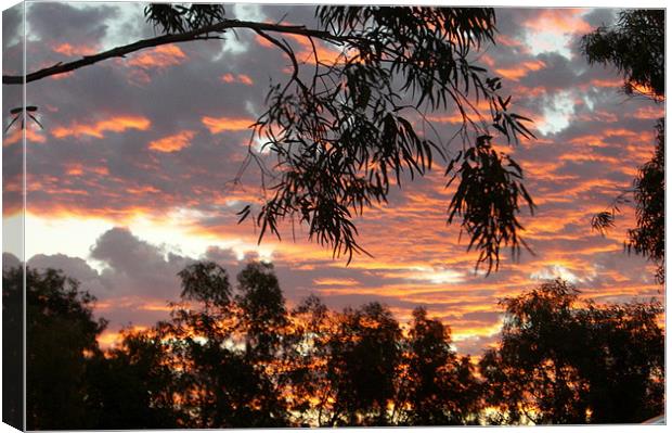 Sunset Canvas Print by craig sivyer