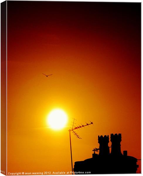 Rooftop sunset Canvas Print by Sean Wareing