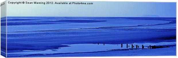 Desolate Blue Canvas Print by Sean Wareing