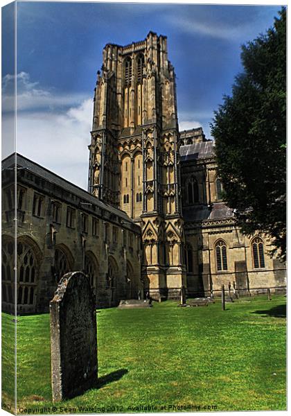 Wells cathedral 2 Canvas Print by Sean Wareing