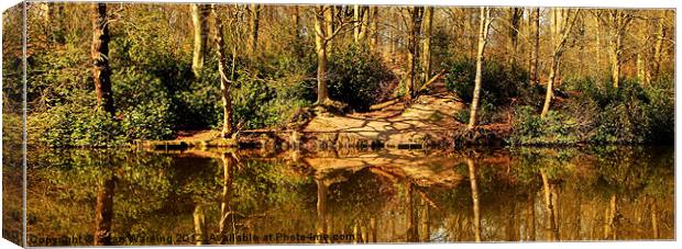 Spring reflections Canvas Print by Sean Wareing