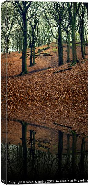 Forest Reflections Canvas Print by Sean Wareing