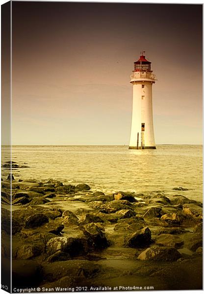 Standing Tall Canvas Print by Sean Wareing