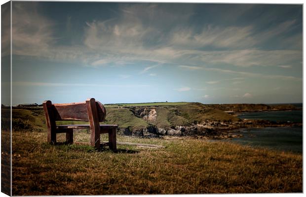 Lonely View Canvas Print by Sean Wareing