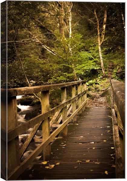 Aber Bridge Canvas Print by Sean Wareing