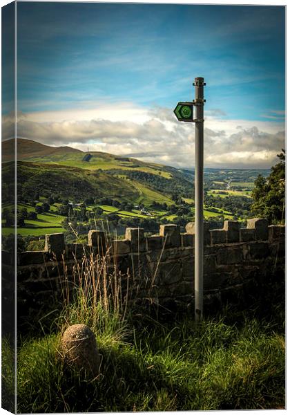 Country Tracks Canvas Print by Sean Wareing