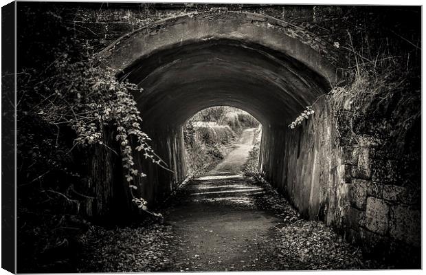 The Tunnel Canvas Print by Sean Wareing