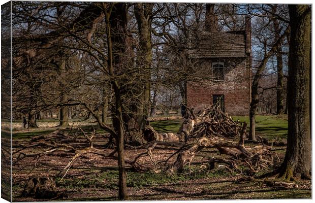 The Woodcutters House Canvas Print by Sean Wareing