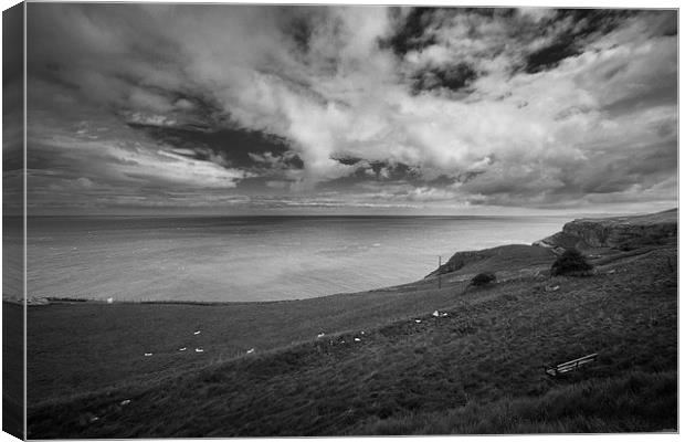 Great Orme View Canvas Print by Sean Wareing