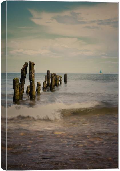  Sandsend Groyne  Canvas Print by Sean Wareing